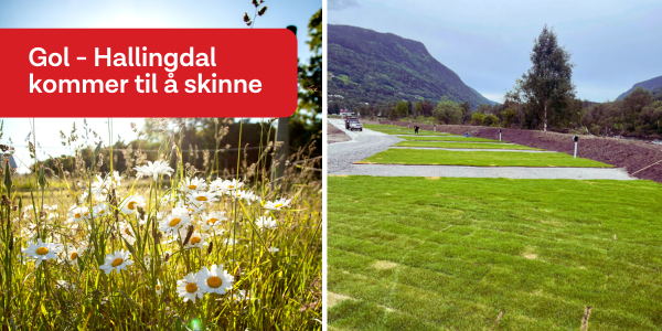 Gol - Hallingdal blir ny