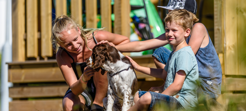 First Camp: Med hund på camping